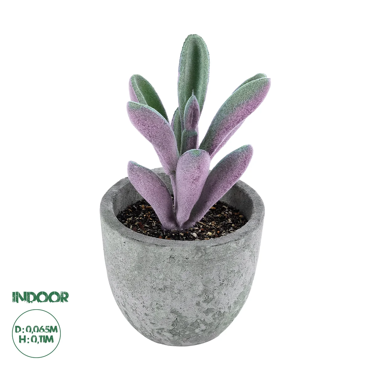 Φωτογραφία προϊόντος: GloboStar® Artificial Garden SUCCULENT CRASULLA 21031 Διακοσμητικό Φυτό Παχύφυτο Κράσουλα Υ11cm