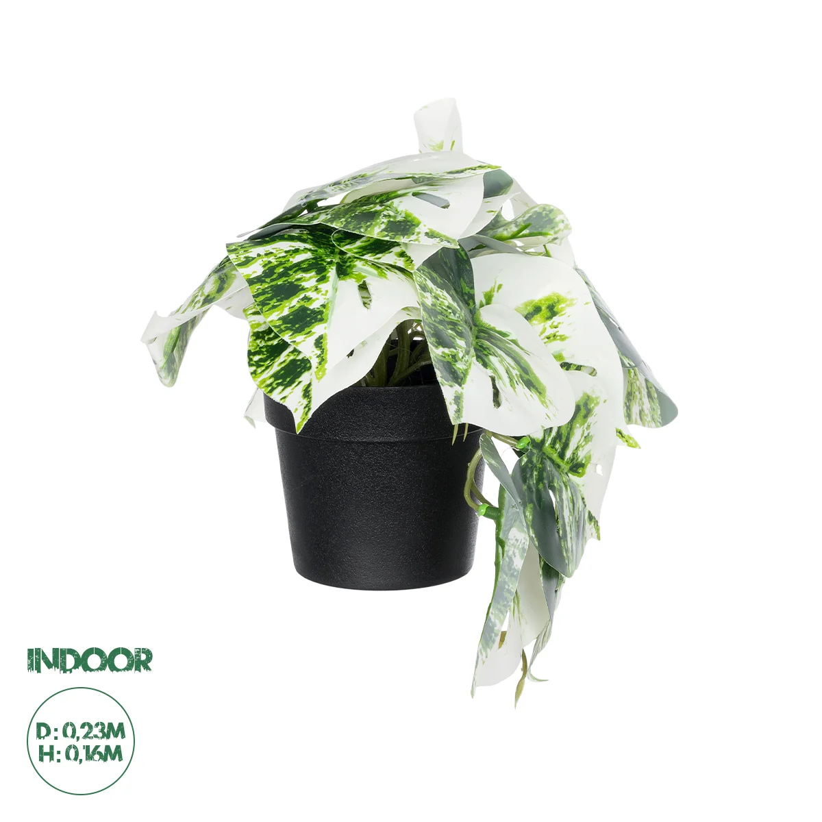 Φωτογραφία προϊόντος: GloboStar® Artificial Garden ALBINO MONSTERA PLANT 20946 - Διακοσμητικό Φυτό Μονστέρα Φ23 x Υ16cm