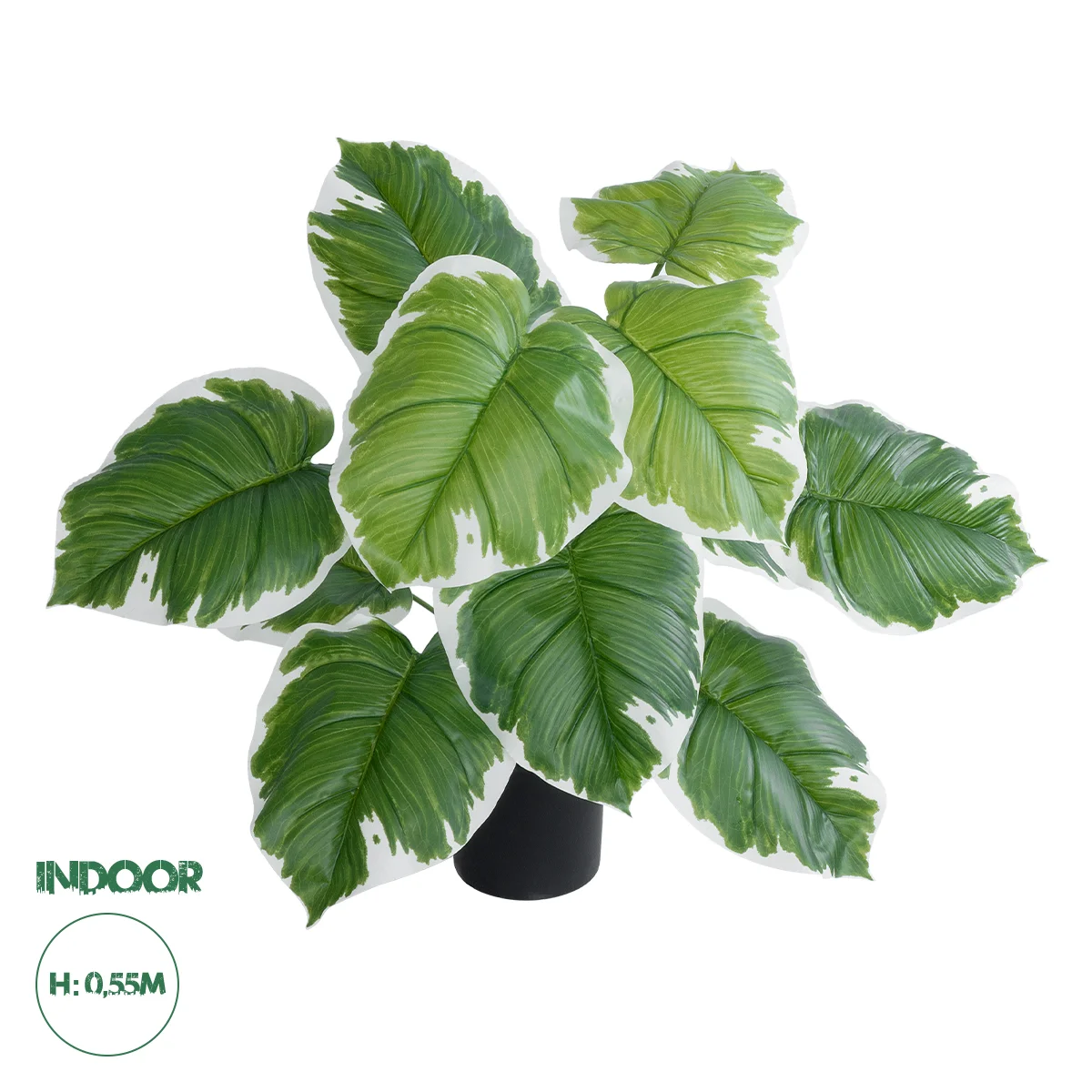 Φωτογραφία προϊόντος: GloboStar® Artificial Garden WHITE HOSTA PLANT 20931 Διακοσμητικό Φυτό Λευκή Χόστα Φ60 x Υ55cm