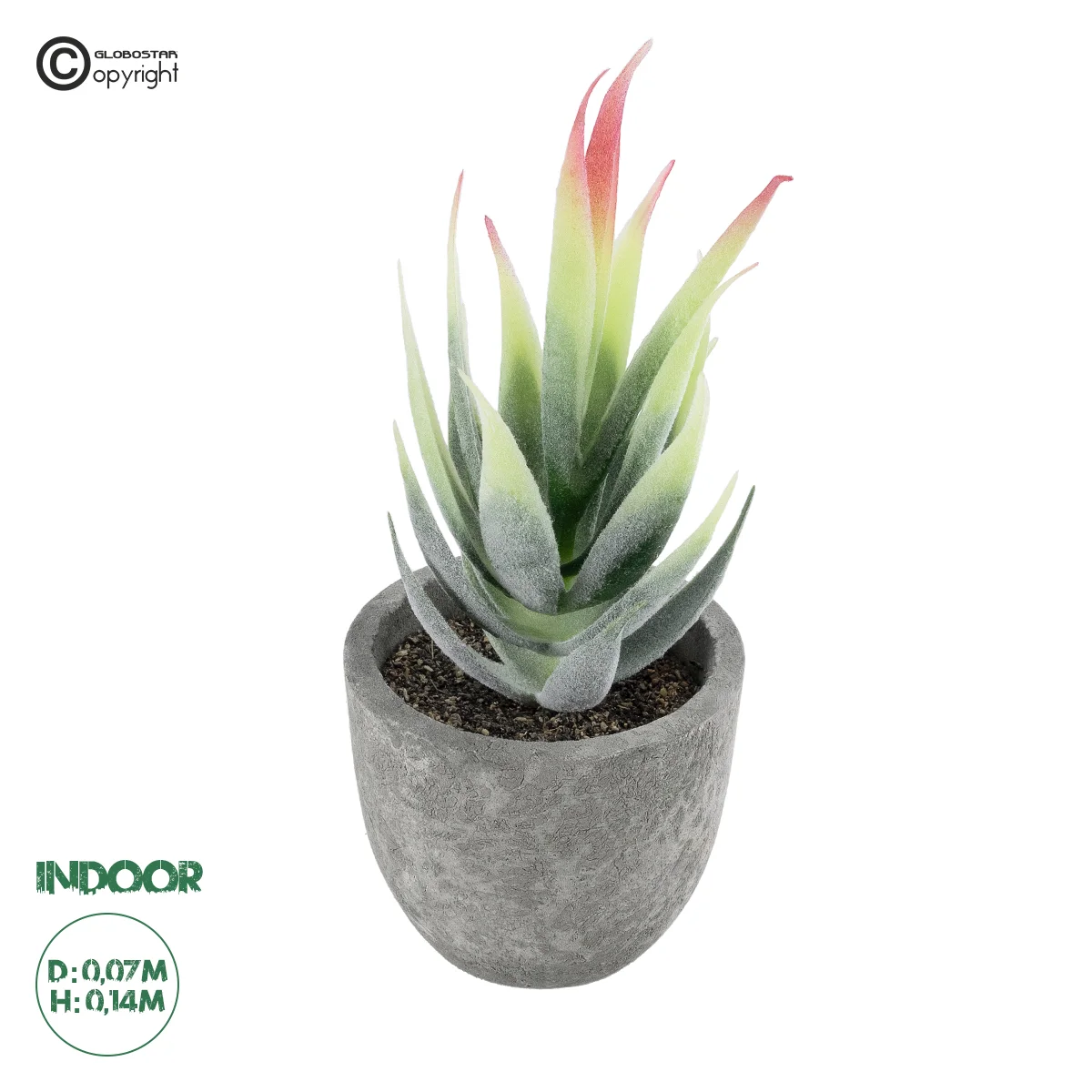 Φωτογραφία προϊόντος: GloboStar® Artificial Garden SUCCULENT ALOE 21009 Διακοσμητικό Φυτό Παχύφυτο Αλόη Υ14cm