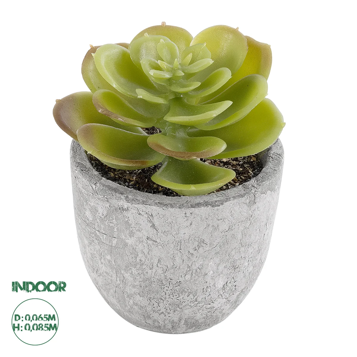 Φωτογραφία προϊόντος: GloboStar® Artificial Garden SUCCULENT SEDEVERIA 21021 Διακοσμητικό Φυτό Παχύφυτο Σεντεβέρια Υ8.5cm