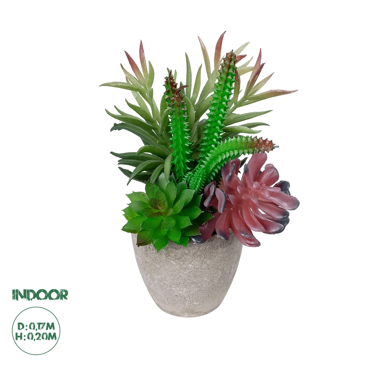 Φωτογραφία προϊόντος: GloboStar® Artificial Garden SUCCULENT VARIUS PLANT POTTED 21039 Διακοσμητικό Φυτό Μίξ Μ17 x Υ20cm