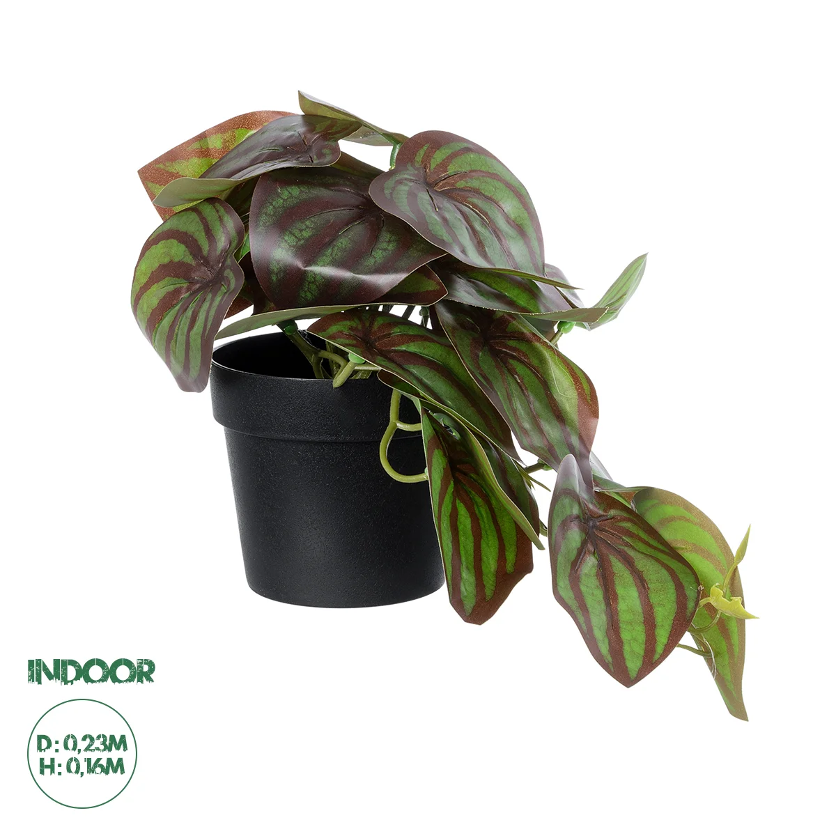 Φωτογραφία προϊόντος: GloboStar® Artificial Garden BROWN PEPEROMIA PLANT 20952 Διακοσμητικό Φυτό Καφέ Πεπερόμια Φ23 x Υ16cm