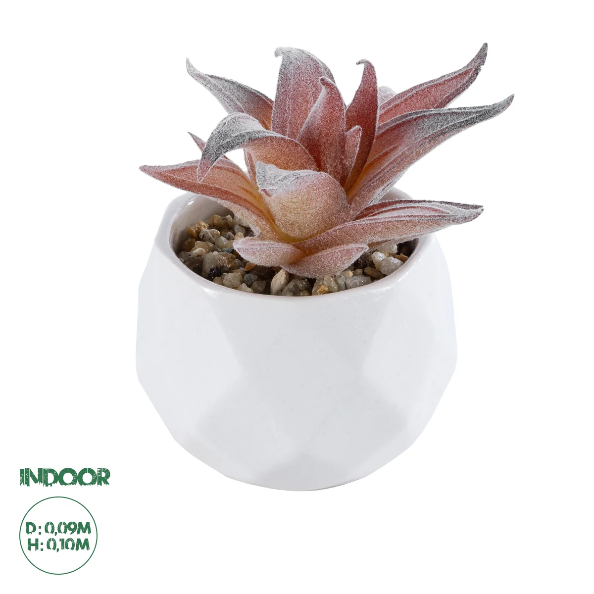 Φωτογραφία προϊόντος: GloboStar® Artificial Garden SUCCULENT ALOE 21006 Διακοσμητικό Φυτό Παχύφυτο Αλόη Υ10cm