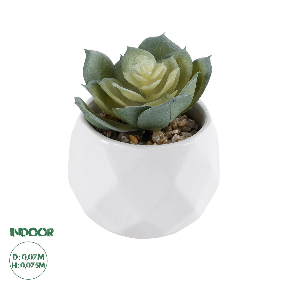 Φωτογραφία προϊόντος: GloboStar® Artificial Garden SUCCULENT ECHEVERIA 20980 Διακοσμητικό Φυτό Παχύφυτο Εχεβέρια Υ7.5cm