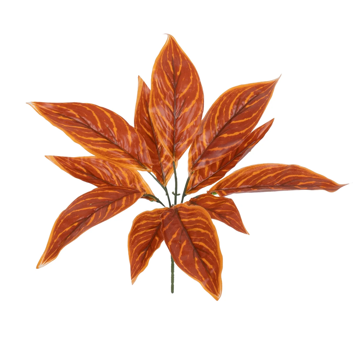 Φωτογραφία προϊόντος: GloboStar® AGLAONEMA ORANGE 78265 Τεχνητό Φυτό Αγλαόνημα Πορτ. - Μπουκέτο Διακοσμητικών Φυτών - Κλαδιών με Φύλλωμα Πορτοκαλί Υ30cm