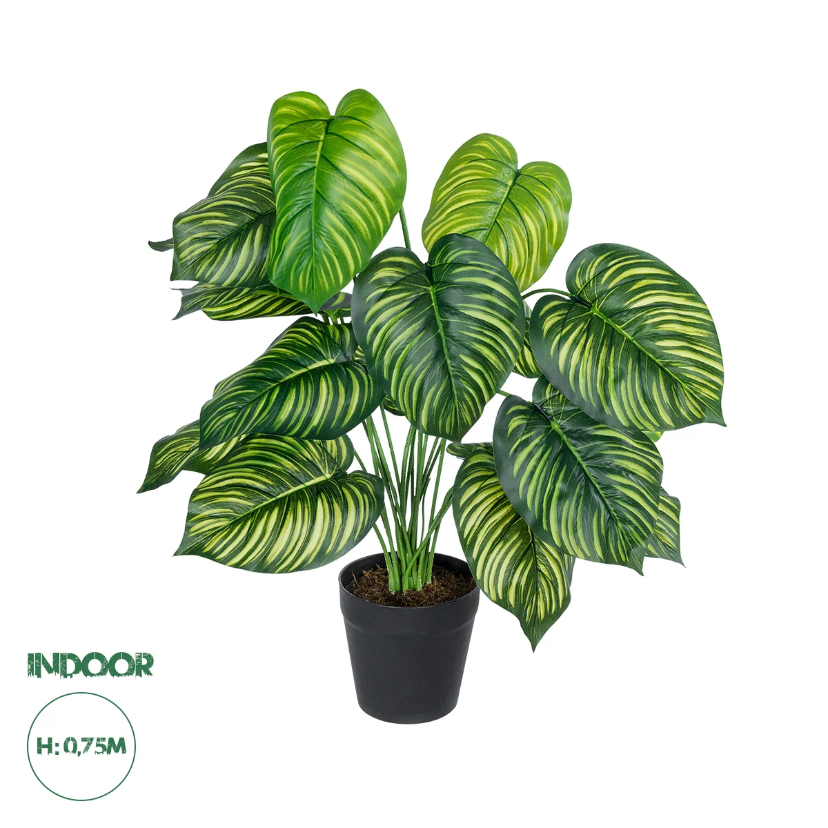 Φωτογραφία προϊόντος: GloboStar® Artificial Garden CALATHEA PLANT 20912 Διακοσμητικό Φυτό Καλαθέα Φ55 x Υ75cm
