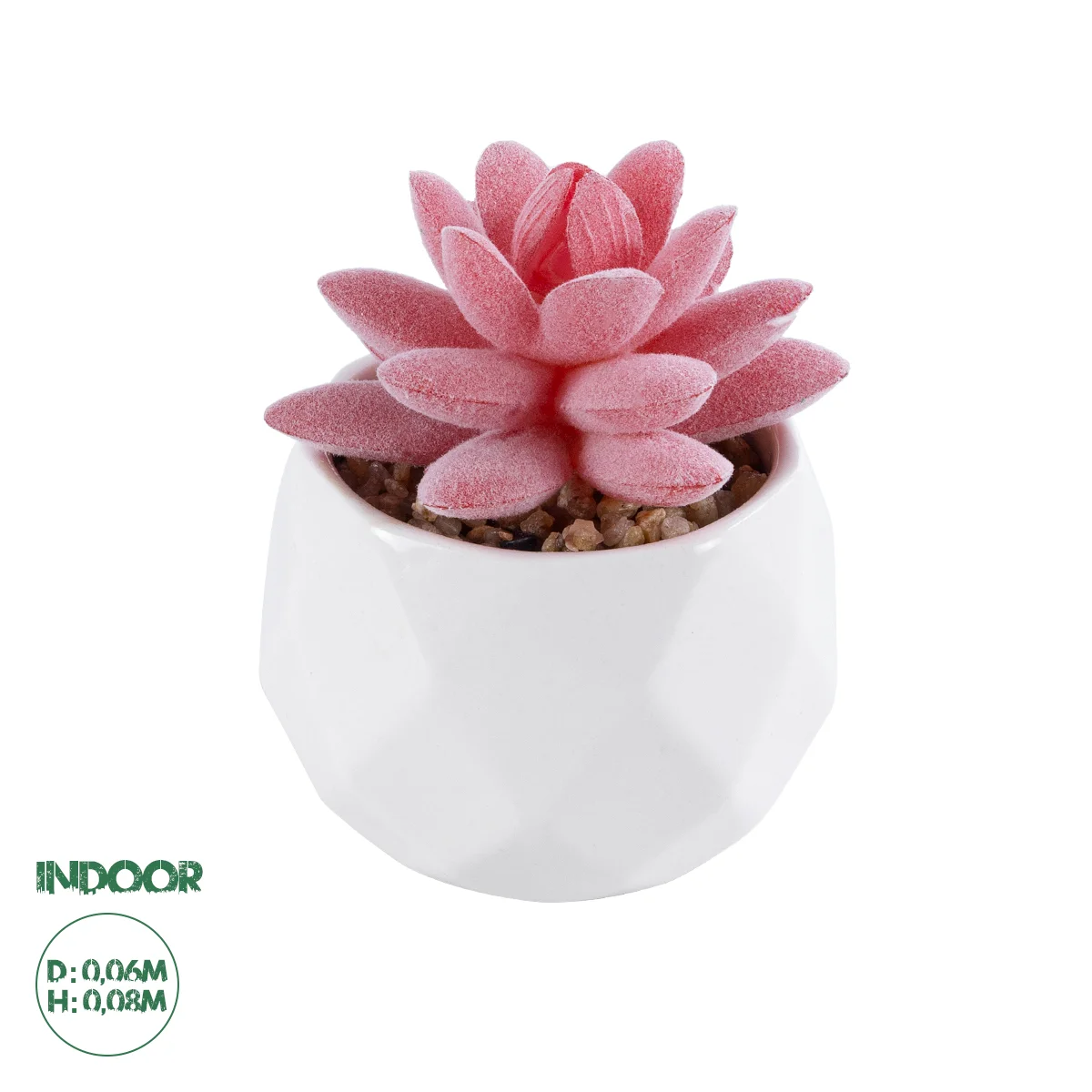 Φωτογραφία προϊόντος: GloboStar® Artificial Garden SUCCULENT SEDEVERIA 20981 Διακοσμητικό Φυτό Παχύφυτο Σεντεβέρια Υ8cm