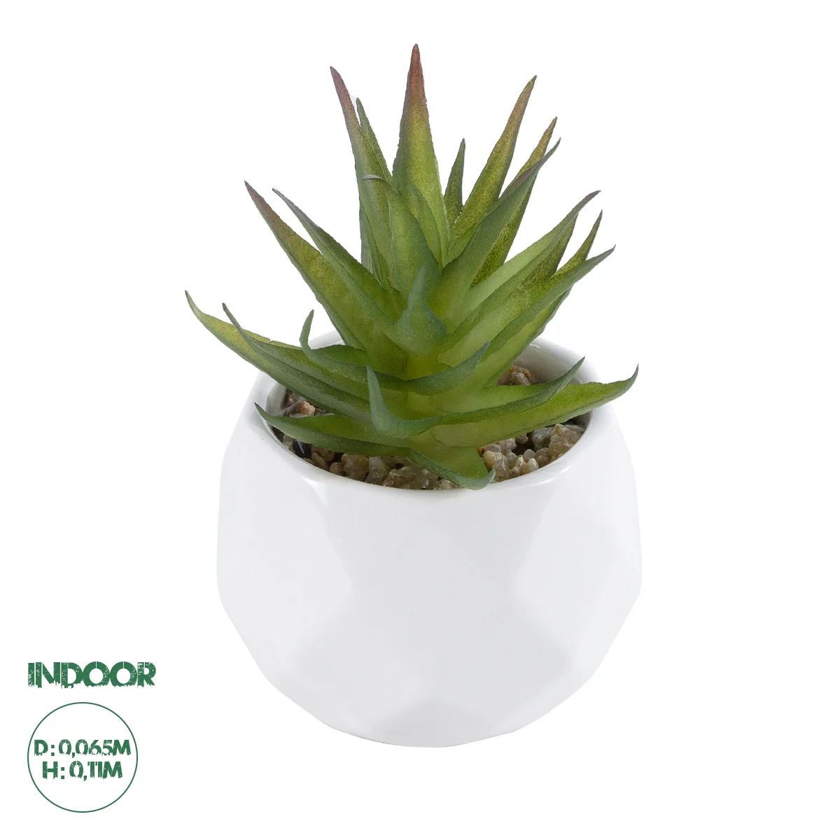 Φωτογραφία προϊόντος: GloboStar® Artificial Garden SUCCULENT ALOE 20982 Διακοσμητικό Φυτό Παχύφυτο Αλόη Υ11cm