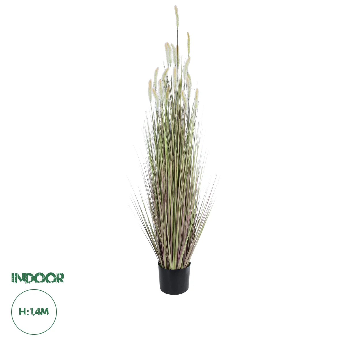 Φωτογραφία προϊόντος: GloboStar® Artificial Garden BEIGE LAGURUS 21102 Διακοσμητικό Φυτό Μπεζ Λαγοουρά Υ140cm