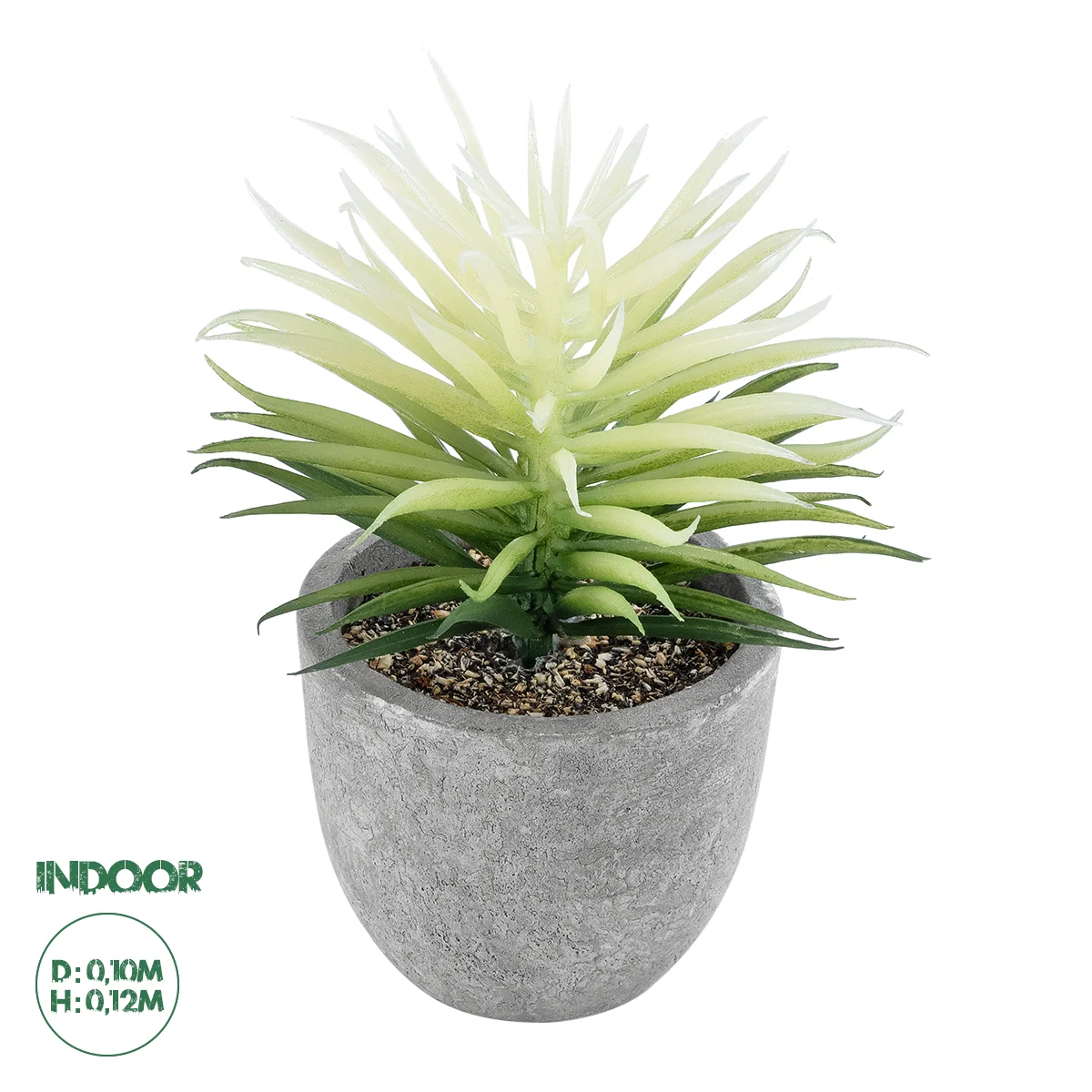 Φωτογραφία προϊόντος: GloboStar® Artificial Garden SUCCULENT SENECIO 21024 Διακοσμητικό Φυτό Παχύφυτο Σενέκιο Υ12cm