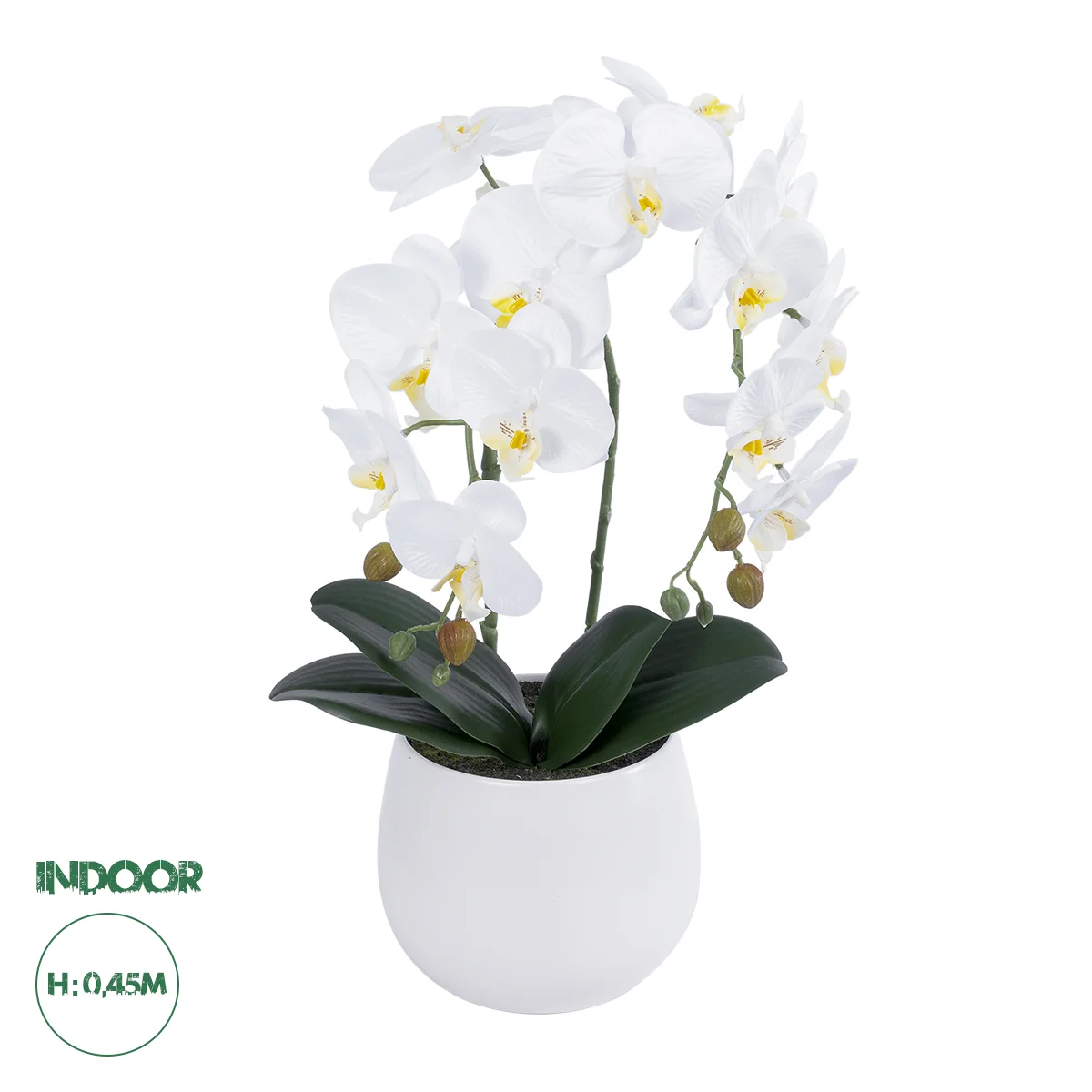 Φωτογραφία προϊόντος: GloboStar® Artificial Garden WHITE ORCHID 21117 Διακοσμητικό Φυτό Λευκή Ορχιδέα Υ45cm