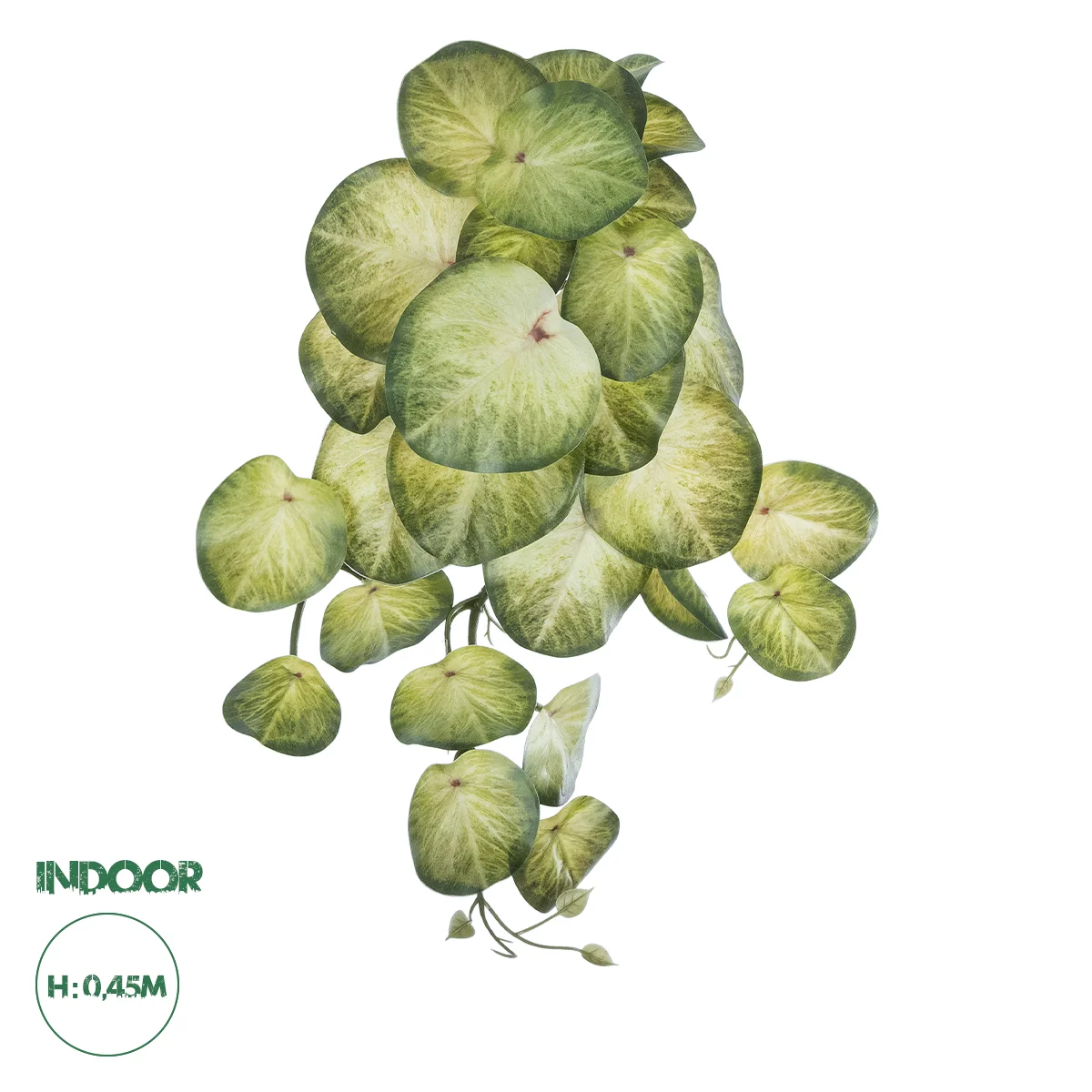 Φωτογραφία προϊόντος: GloboStar® Artificial Garden SYNGONIUM HANGING PLANT 20607 Τεχνητό Διακοσμητικό Κρεμαστό Φυτό Συγκόνιο Υ45cm
