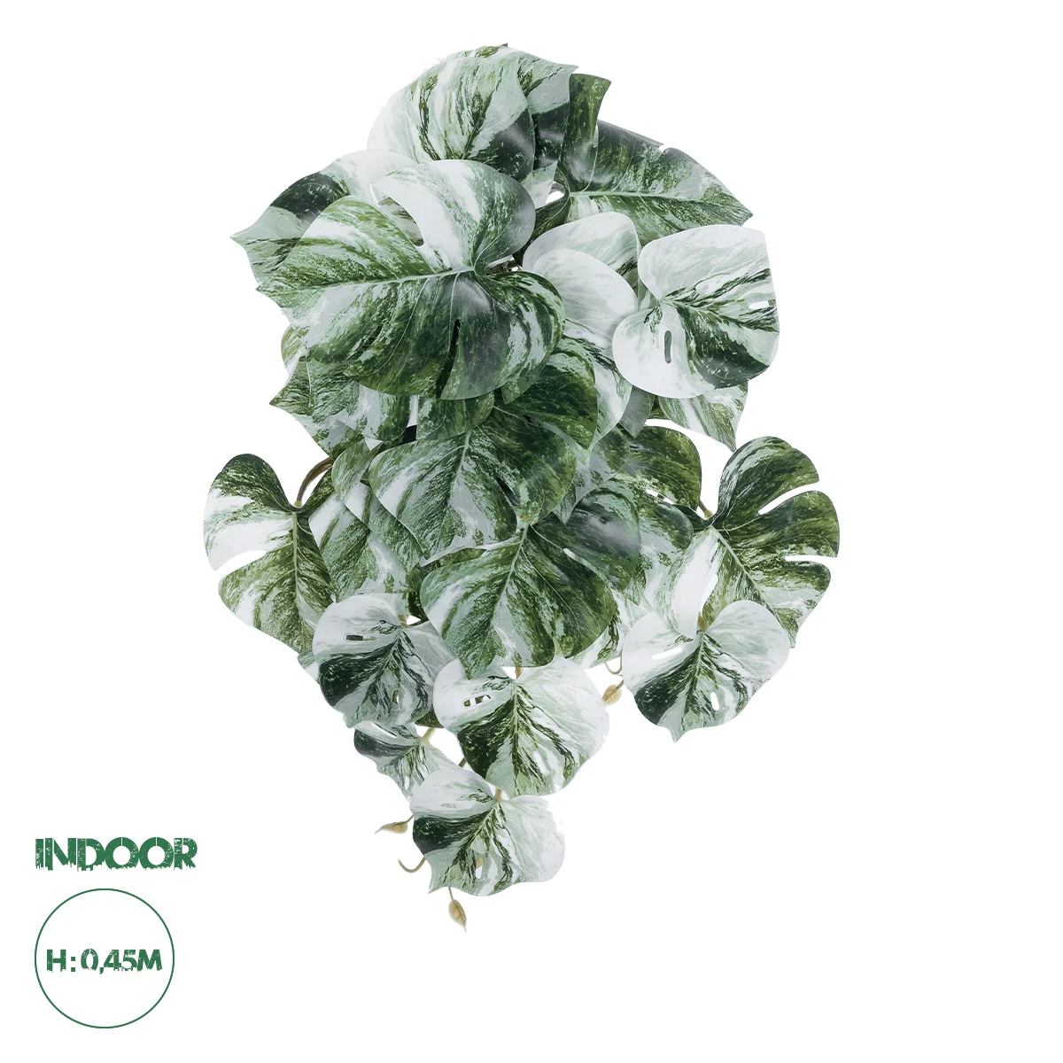 Φωτογραφία προϊόντος: GloboStar® Artificial Garden ALBINO MONSTERA HANGING PLANT 20609 - Τεχνητό Διακοσμητικό Κρεμαστό Φυτό Μονστέρα Υ45cm