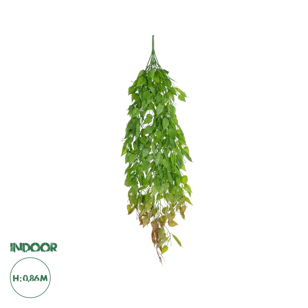Φωτογραφία προϊόντος: GloboStar® Artificial Garden HANGING LIMA BEAN 20846 Τεχνητό Διακοσμητικό Κρεμαστό Φυτό Φασόλι Λίμα Μ29 x Π10 x Υ86cm