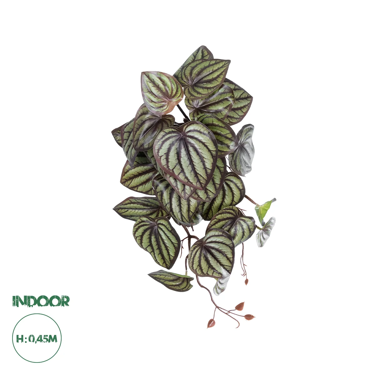 Φωτογραφία προϊόντος: GloboStar® Artificial Garden PEPEROMIA HANGING PLANT 20602 Τεχνητό Διακοσμητικό Κρεμαστό Φυτό Πεπερόμια Υ45cm