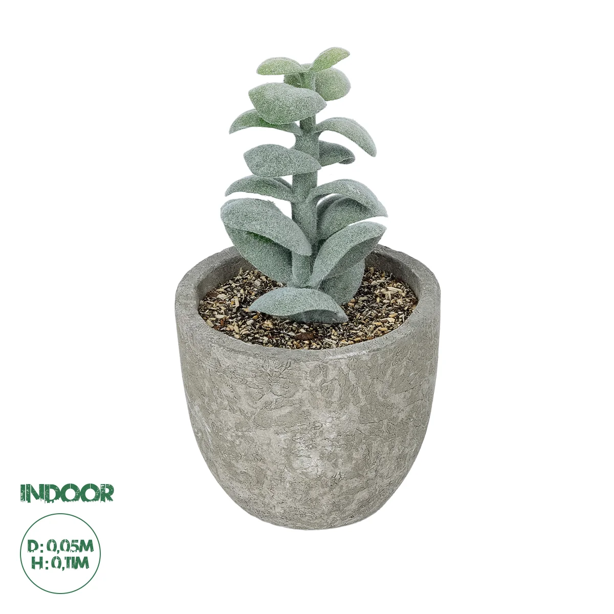 Φωτογραφία προϊόντος: GloboStar® Artificial Garden SUCCULENT SEDEVERIA POTTED PLANT 21027 Διακοσμητικό Φυτό Σεδεβέρια Φ5 x Υ11cm