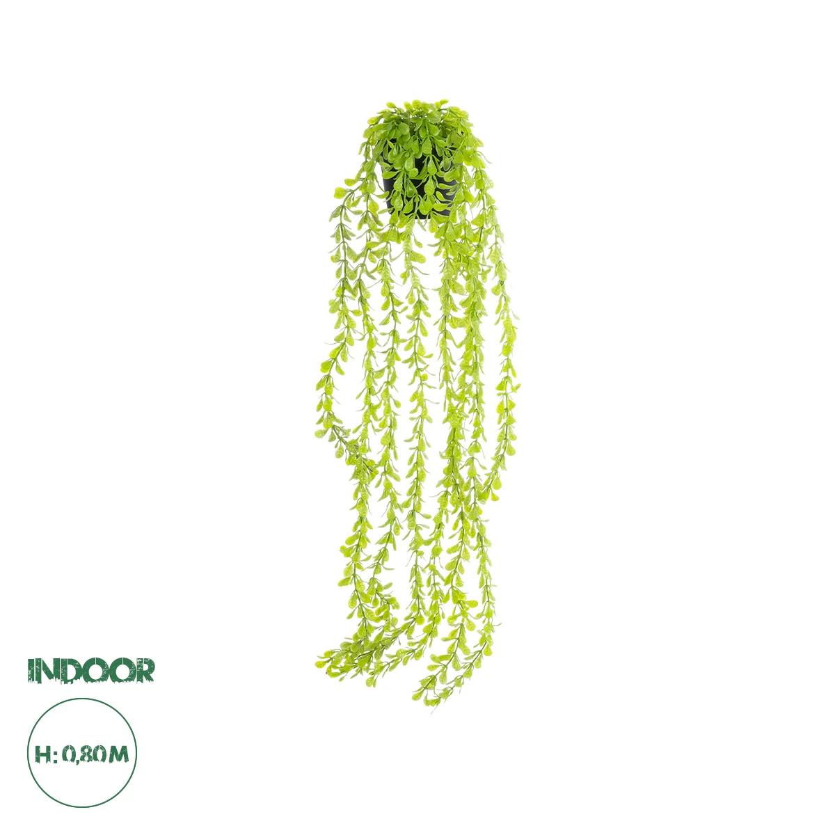 Φωτογραφία προϊόντος: GloboStar® Artificial Garden HANGING MYRTLE 20881 - Τεχνητό Κρεμαστό Διακοσμητικό Φυτό Μυρτιά Φ21 x Y80cm