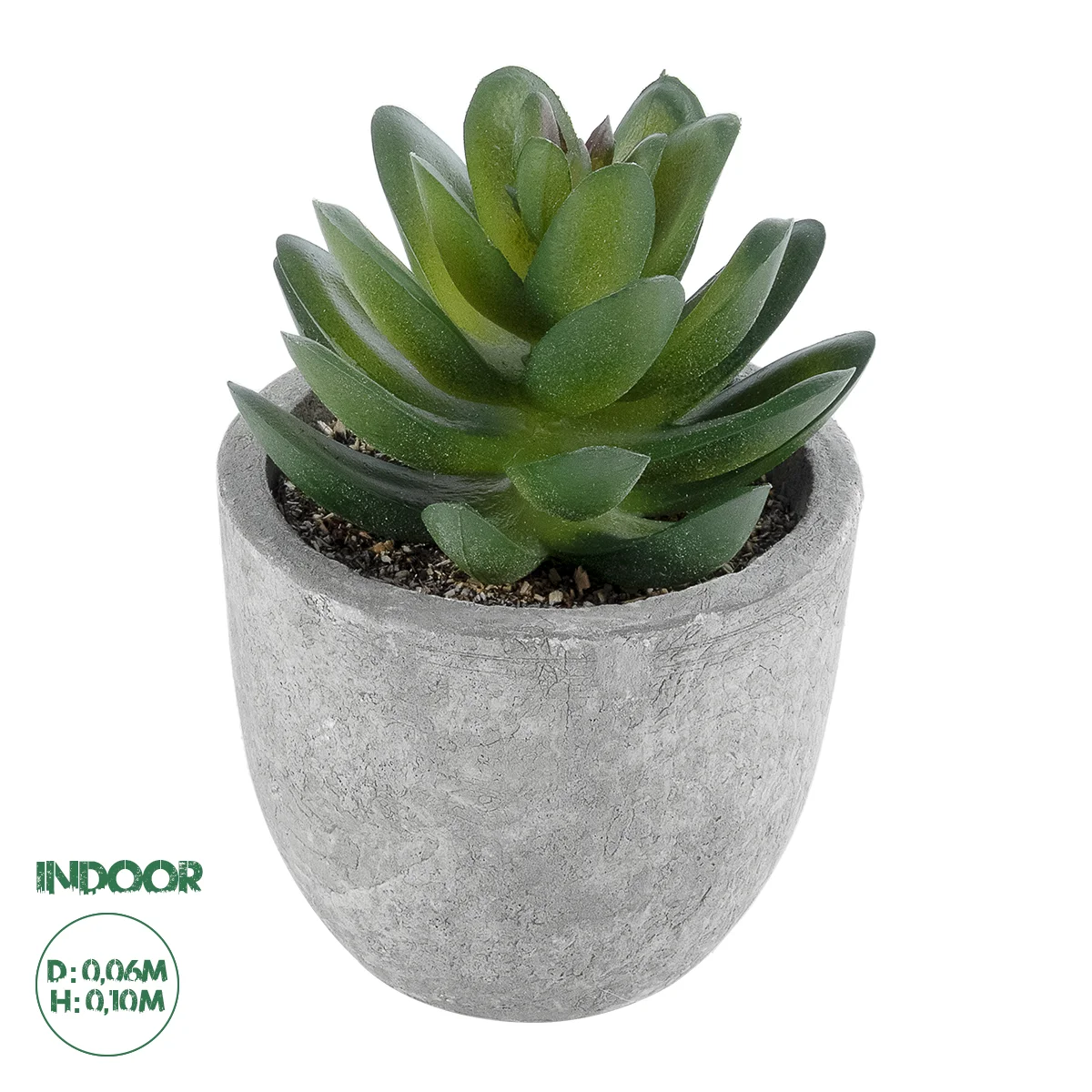 Φωτογραφία προϊόντος: GloboStar® Artificial Garden SUCCULENT SEDEVERIA 21023 Διακοσμητικό Φυτό Παχύφυτο Σεντεβέρια Υ10cm