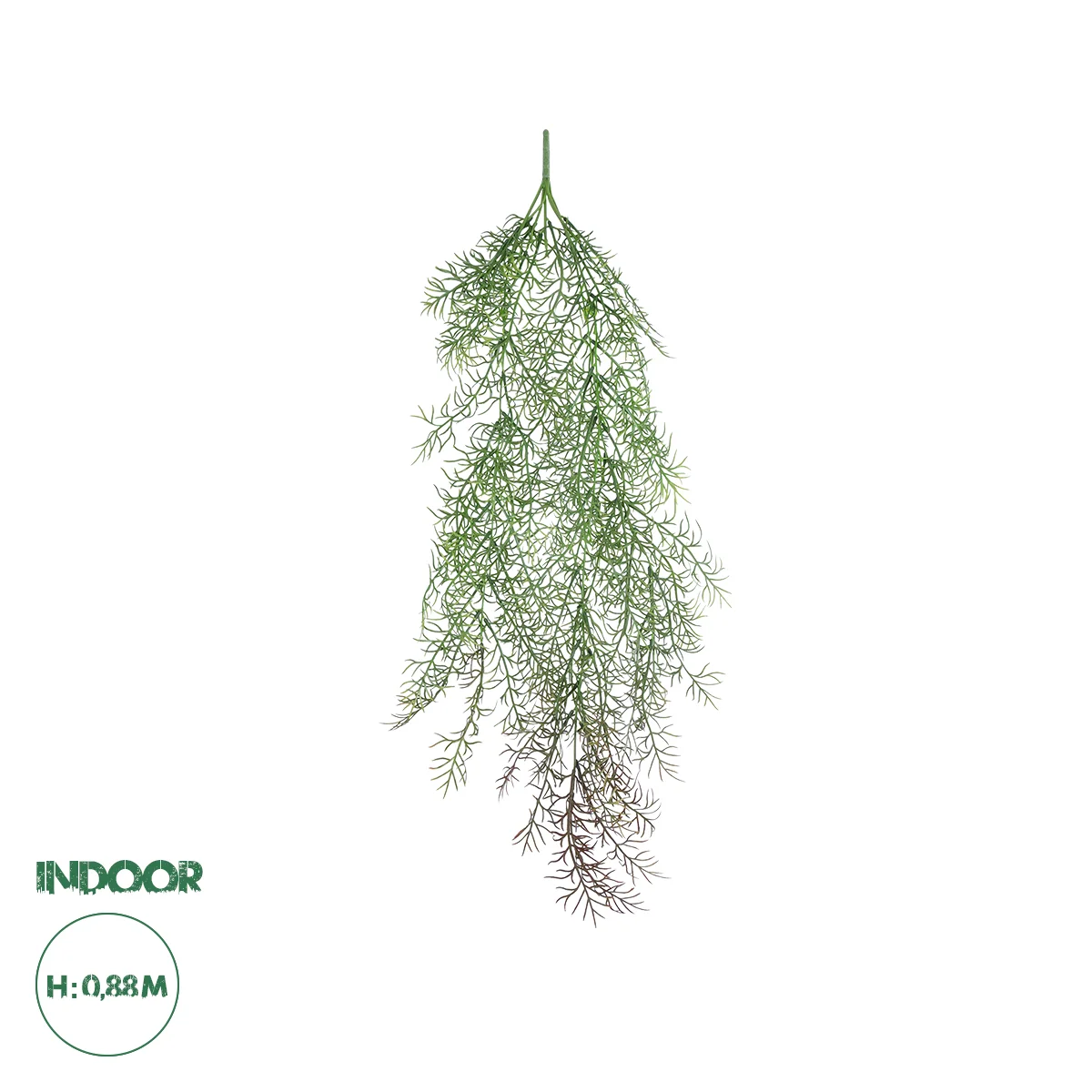 Φωτογραφία προϊόντος: GloboStar® Artificial Garden HANGING FOENICULUM 20850 Τεχνητό Διακοσμητικό Κρεμαστό Φυτό Φοινίκουλο Μ30 x Π12 x Υ88cm