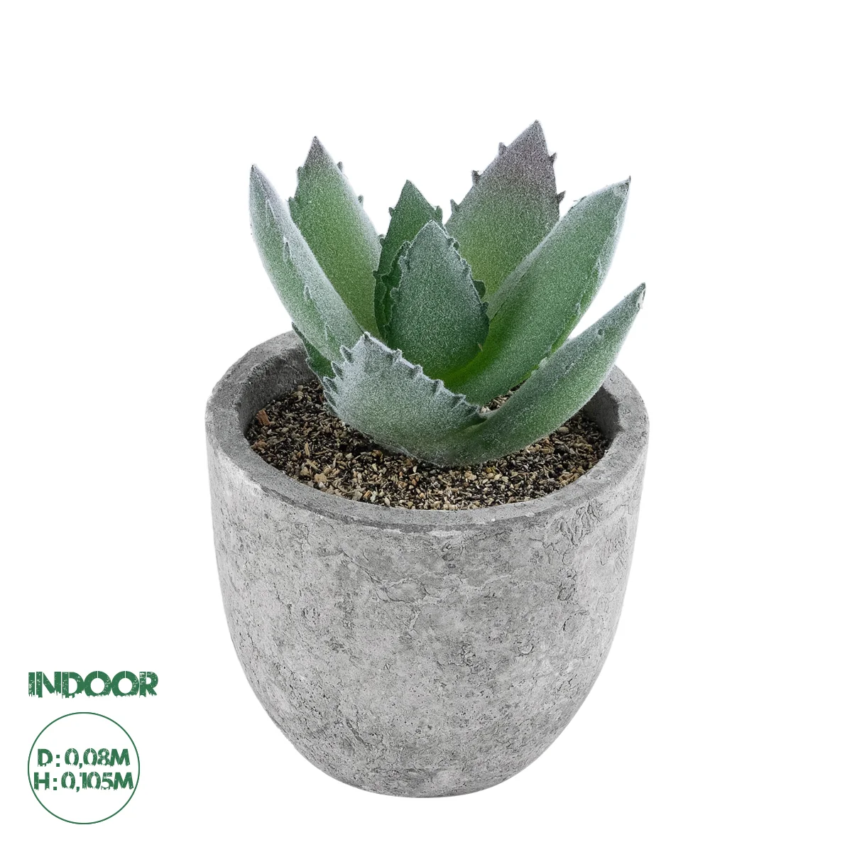 Φωτογραφία προϊόντος: GloboStar® Artificial Garden SUCCULENT ALOE 21026 Διακοσμητικό Φυτό Παχύφυτο Αλόη Υ10.5cm