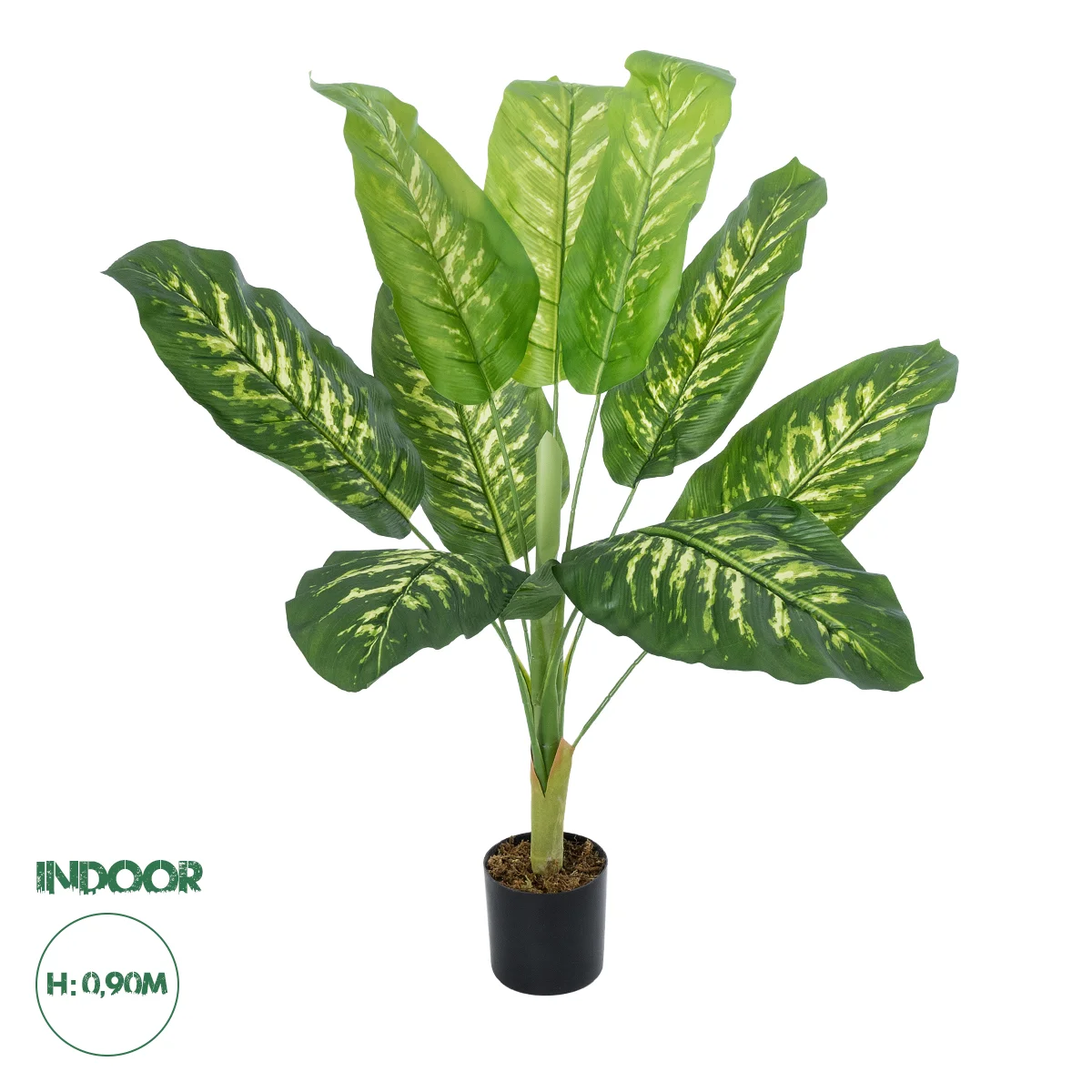 Φωτογραφία προϊόντος: GloboStar® Artificial Garden CALATHEA PLANT 20940 Διακοσμητικό Φυτό Καλαθέα Φ80 x Υ90cm