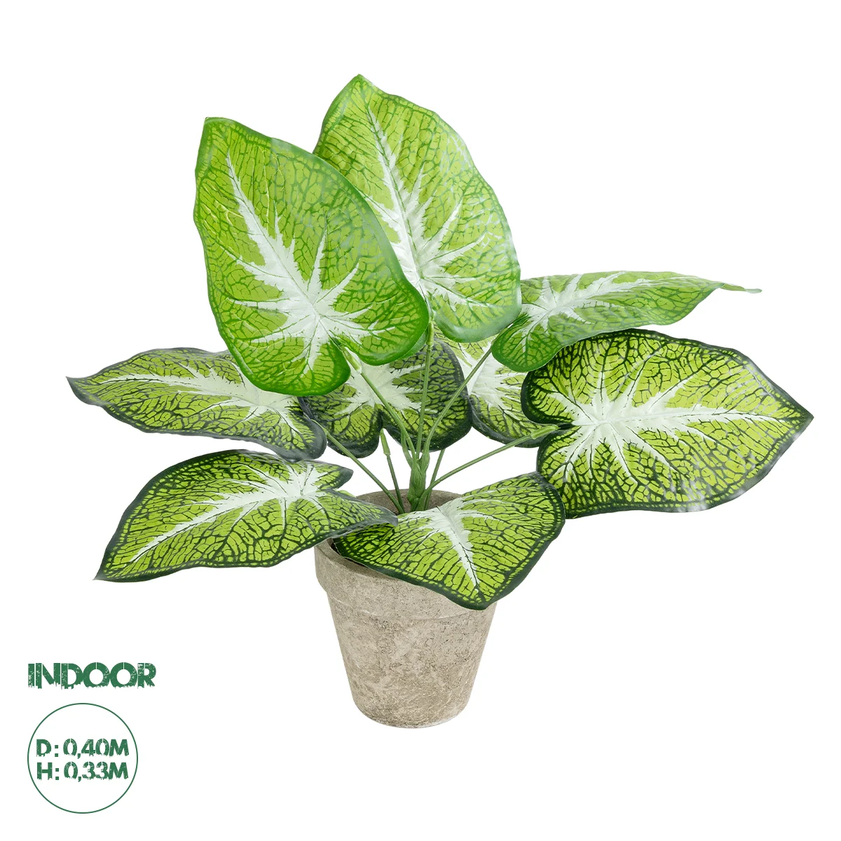 Φωτογραφία προϊόντος: GloboStar® Artificial Garden CALADIUM POTTED PLANT 20894 Διακοσμητικό Φυτό Καλάντιουμ Φ40 x Υ33cm