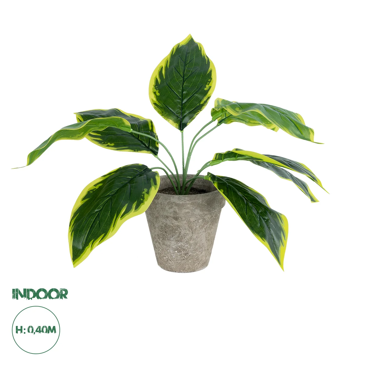 Φωτογραφία προϊόντος: GloboStar® Artificial Garden YELLOW HOSTA PLANT 20899 Τεχνητό Διακοσμητικό Φυτό Κίτρινη Χόστα Φ45 x Υ40cm