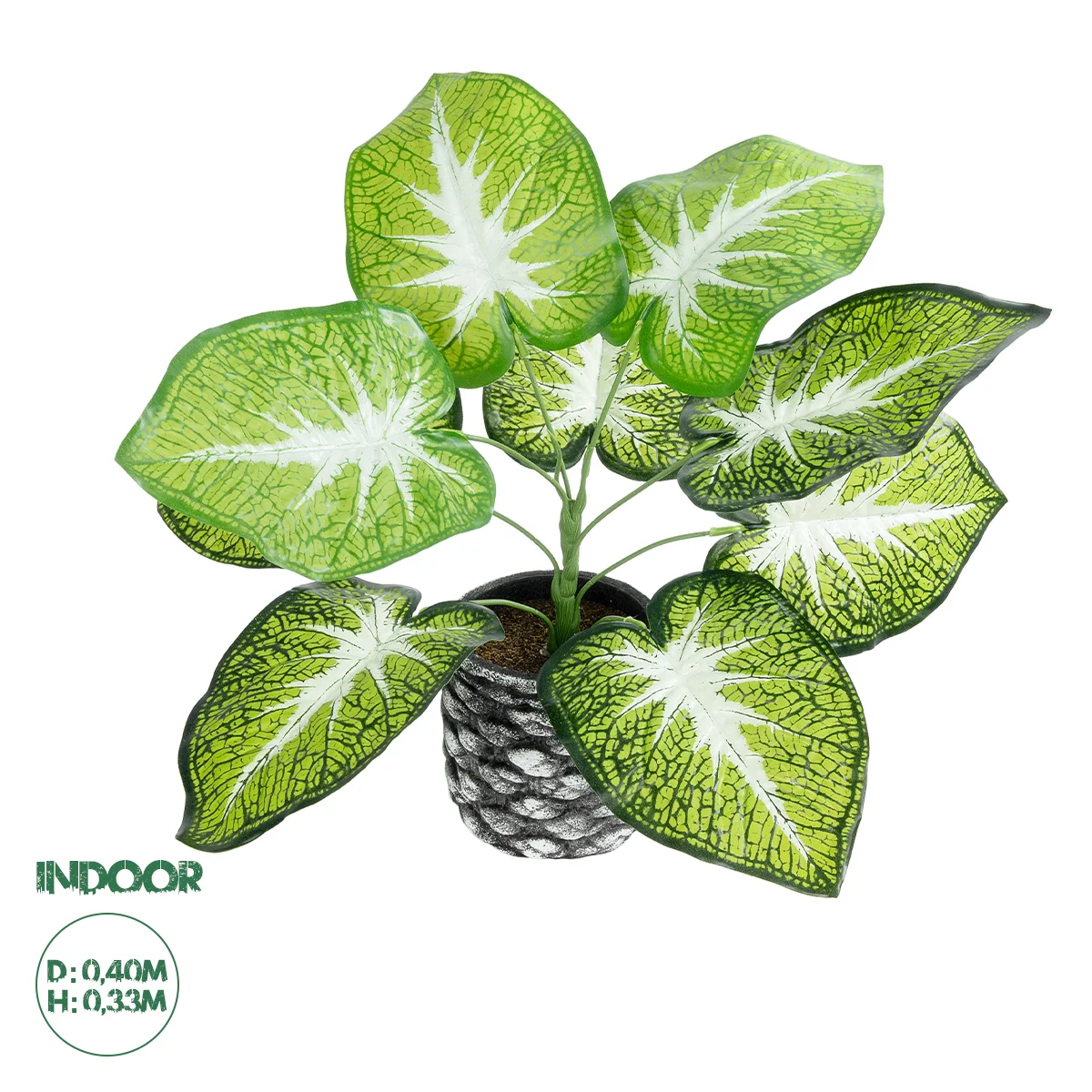 Φωτογραφία προϊόντος: GloboStar® Artificial Garden CALADIUM 20890 Τεχνητό Διακοσμητικό Φυτό Τροπικό Φυτό Φ40 x Υ33cm