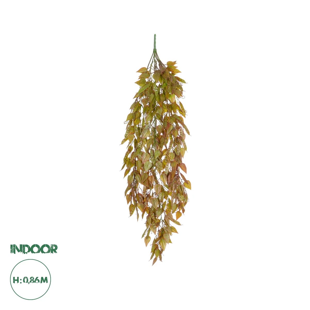 Φωτογραφία προϊόντος: GloboStar® Artificial Garden HANGING LIMA BEAN 20844 Τεχνητό Διακοσμητικό Κρεμαστό Φυτό Φασόλι Λίμα Μ29 x Π10 x Υ86cm