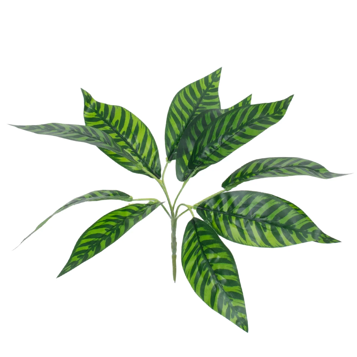 Φωτογραφία προϊόντος: GloboStar® ZEBRA PLANT 78221 Τεχνητό Φυτό Ζέβρα - Μπουκέτο Διακοσμητικών Φυτών - Κλαδιών με Φύλλωμα Πράσινο Υ16cm
