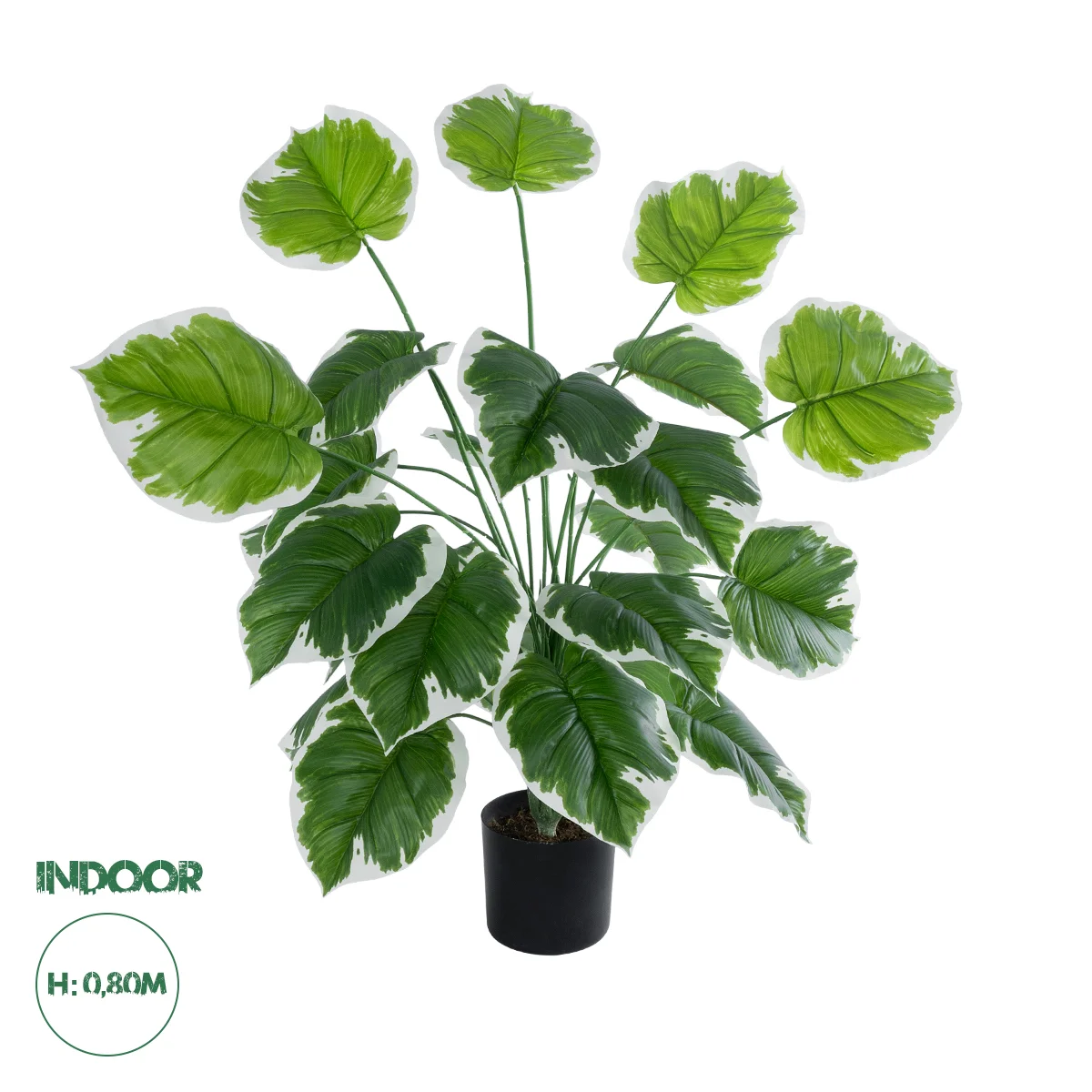 Φωτογραφία προϊόντος: GloboStar® Artificial Garden WHITE HOSTA PLANT 20920 Διακοσμητικό Φυτό Λευκή Χόστα Φ87 x Υ80cm