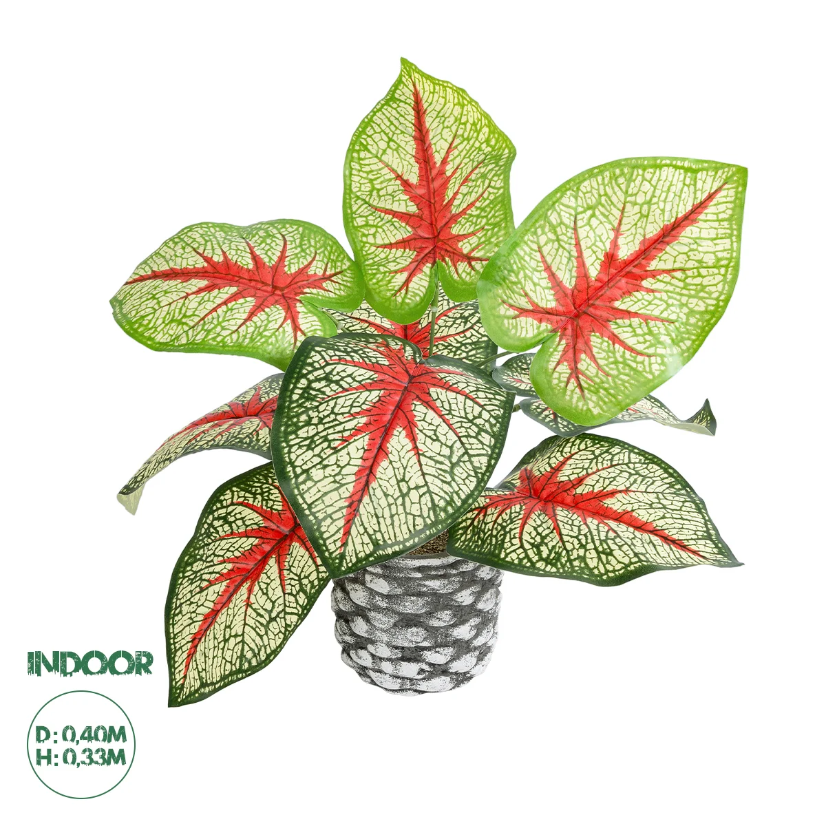 Φωτογραφία προϊόντος: GloboStar® Artificial Garden CALADIUM 20891 Τεχνητό Διακοσμητικό Φυτό Τροπικό Φυτό Καλάδιο Φ40 x Υ33cm