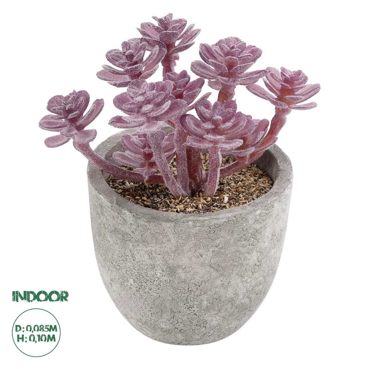 Φωτογραφία προϊόντος: GloboStar® Artificial Garden SUCCULENT SEDUM 21017 Διακοσμητικό Φυτό Παχύφυτο Σέδο Υ10cm