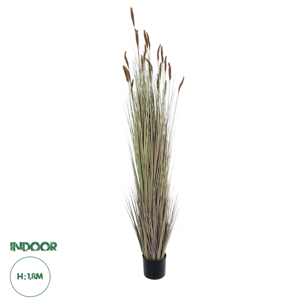 Φωτογραφία προϊόντος: GloboStar® Artificial Garden BROWN LAGURUS 21103 Διακοσμητικό Φυτό Καφέ Λαγοουρά Υ180cm