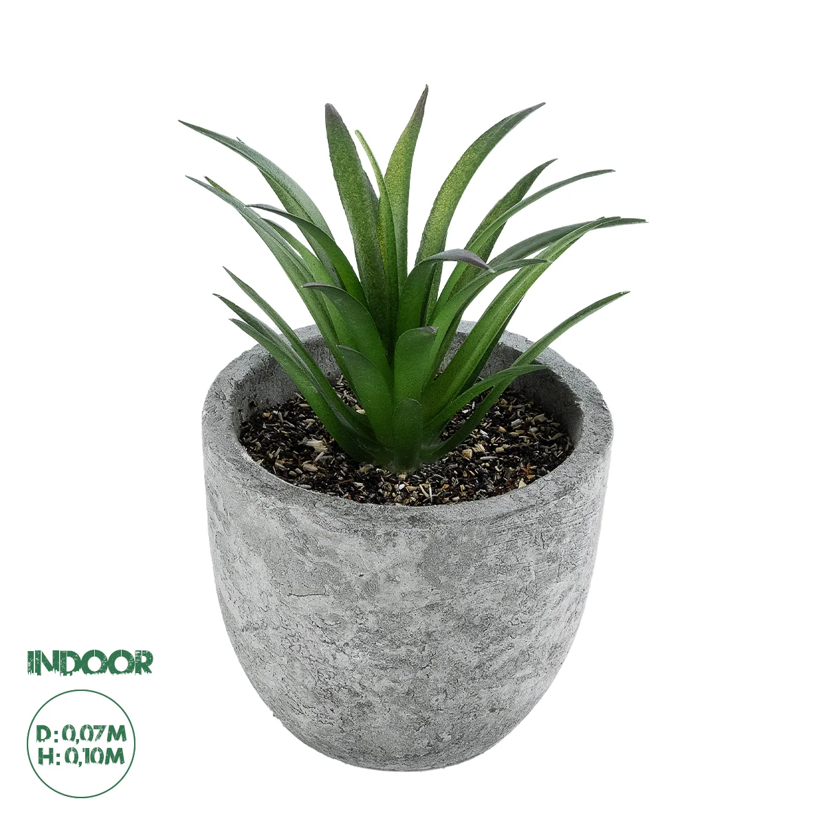 Φωτογραφία προϊόντος: GloboStar® Artificial Garden SUCCULENT ALOE 21030 Διακοσμητικό Φυτό Παχύφυτο Αλόη Υ10cm