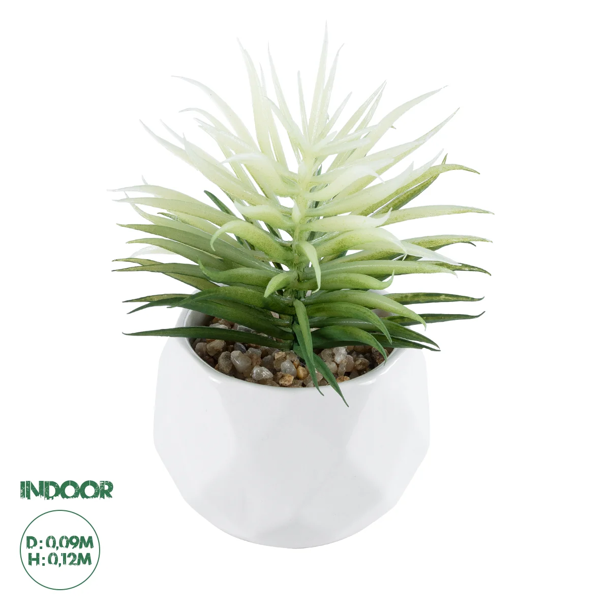 Φωτογραφία προϊόντος: GloboStar® Artificial Garden SUCCULENT SENECIO 20997 Διακοσμητικό Φυτό Παχύφυτο Σενέκιο Υ12cm