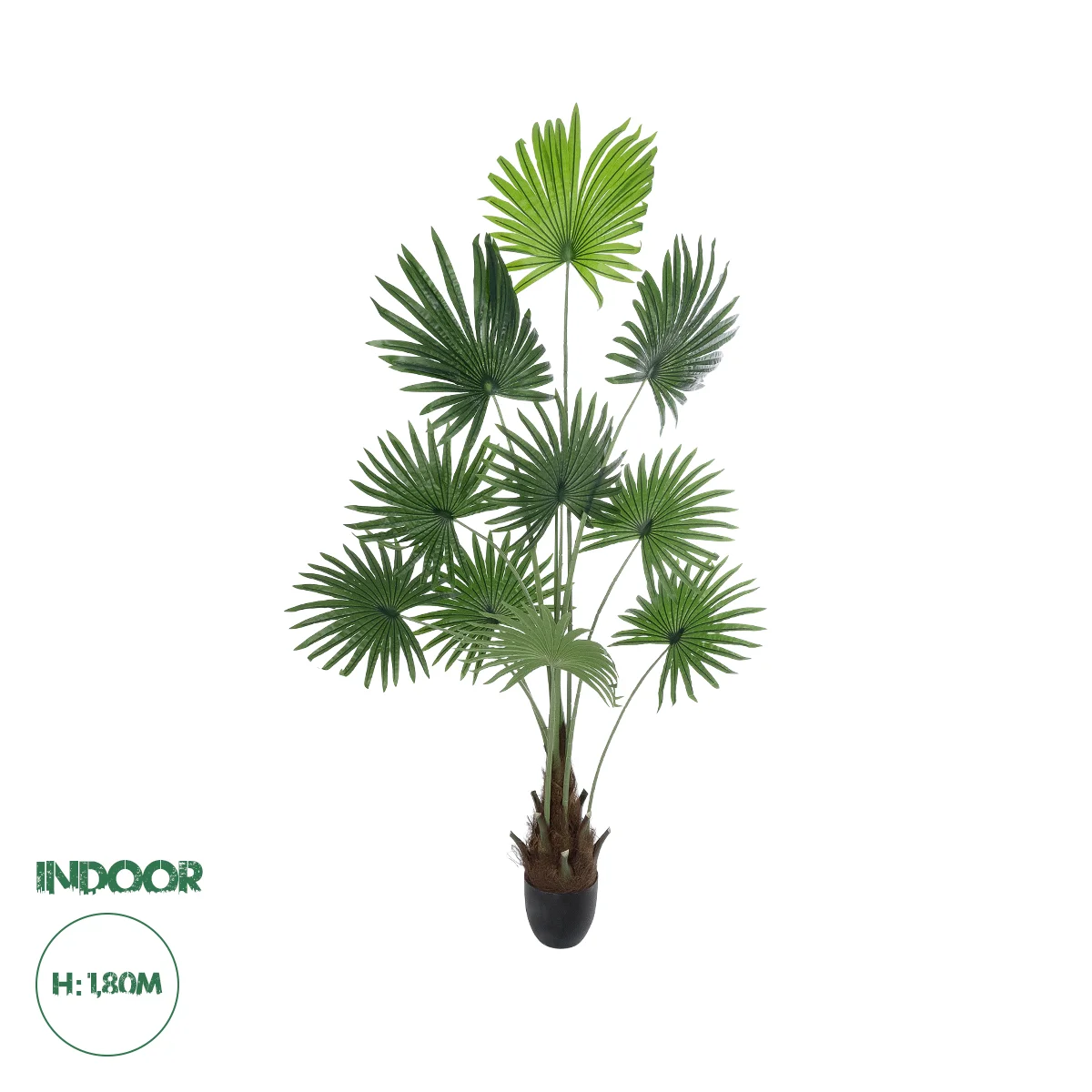 Φωτογραφία προϊόντος: GloboStar® Artificial Garden SERENOA PALM PLANT 20972 Διακοσμητικό Φυτό Φοίνικα Σερενόα Φ103 x Υ180cm