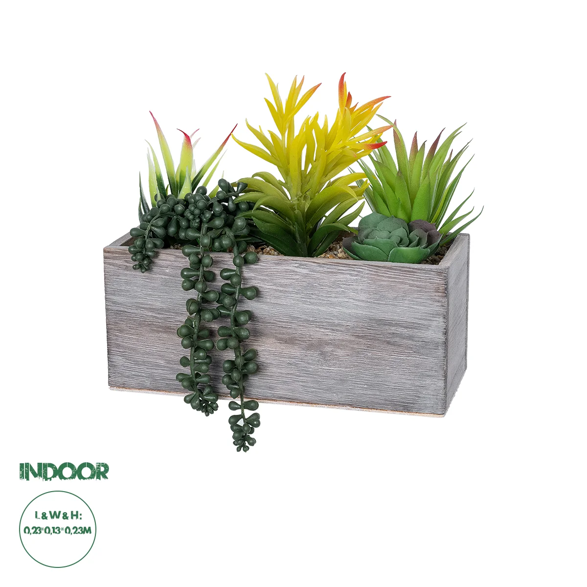 Φωτογραφία προϊόντος: GloboStar® Artificial Garden SUCCULENT VARIUS PLANT POTTED 21034 Διακοσμητικό Φυτό Μίξ Μ23 x Π13 x Υ23cm