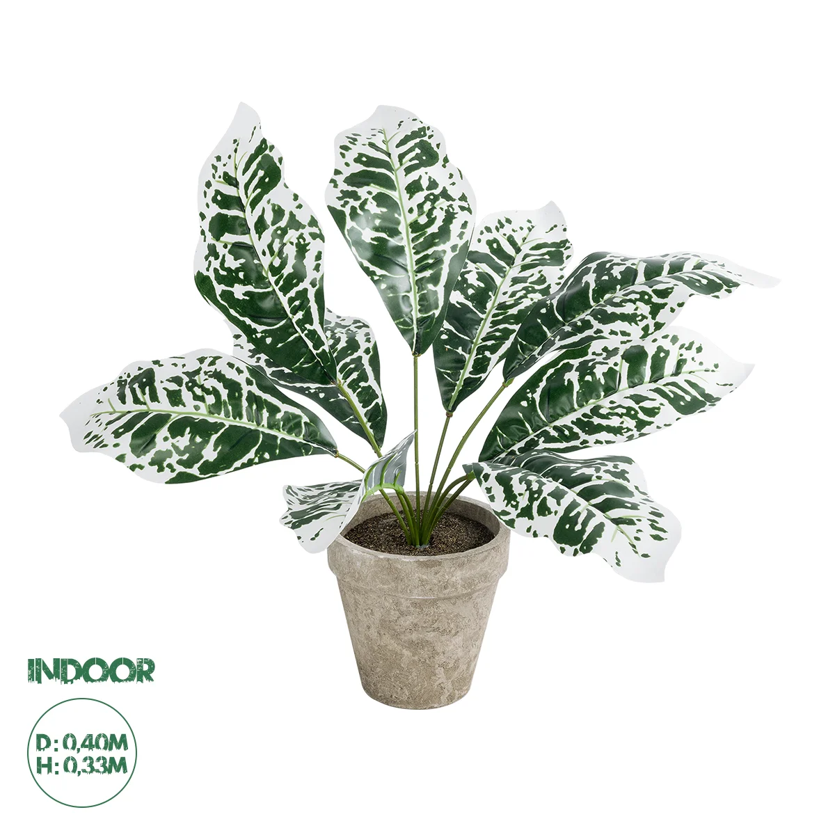 Φωτογραφία προϊόντος: GloboStar® Artificial Garden WHITE AGLAONEMA POTTED PLANT 20903 Διακοσμητικό Φυτό Λευκό Αγλαόνημα Φ40 x Υ33cm