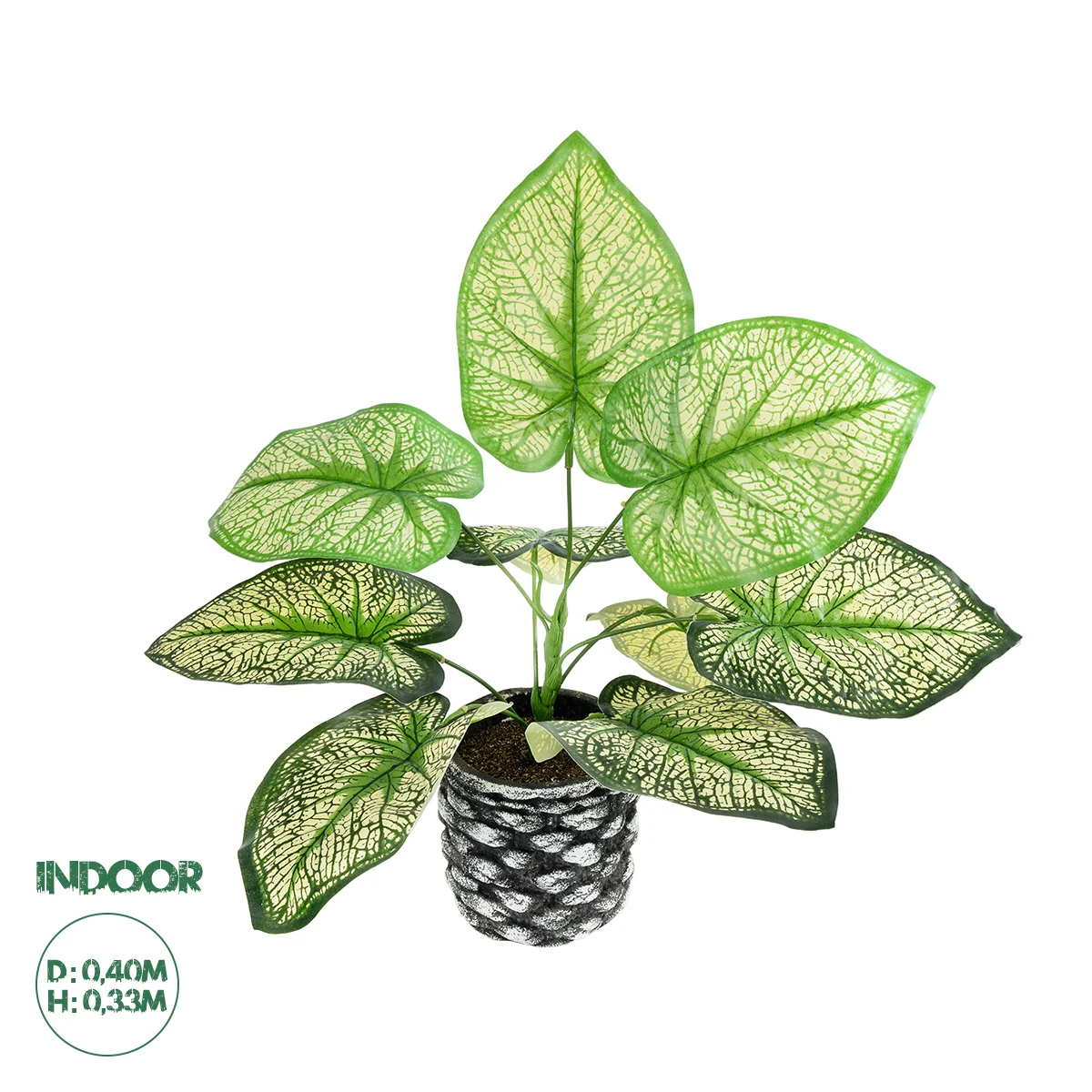 Φωτογραφία προϊόντος: GloboStar® Artificial Garden CALADIUM 20889 Τεχνητό Διακοσμητικό Φυτό Τροπικό Καλάδιο Φ40 x Υ33cm
