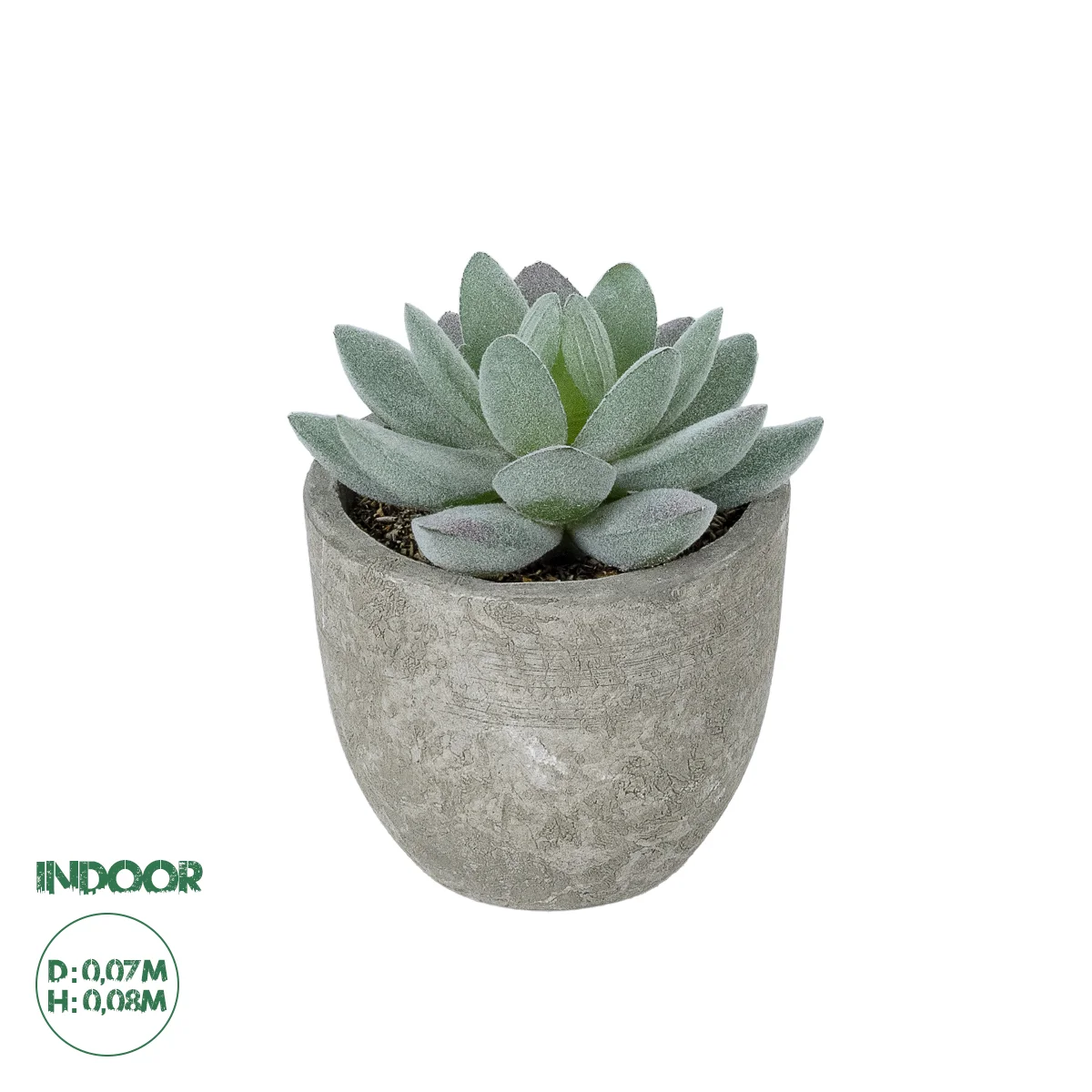 Φωτογραφία προϊόντος: GloboStar® Artificial Garden SUCCULENT SEDEVERIA POTTED PLANT 21016 Διακοσμητικό Φυτό Σεδεβέρια Φ7 x Υ8cm