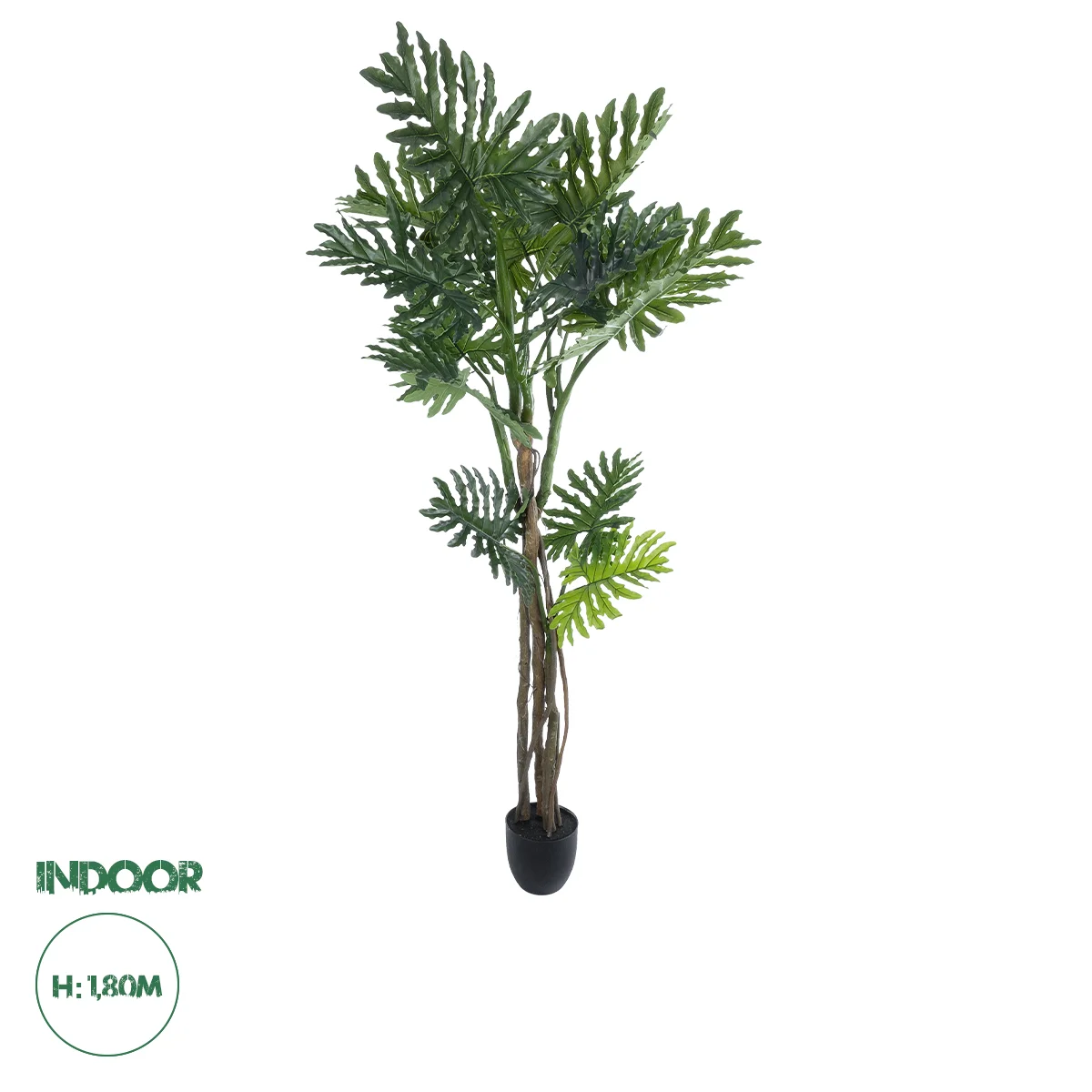 Φωτογραφία προϊόντος: GloboStar® Artificial Garden PHILODENDRON 20685 Τεχνητό Διακοσμητικό Φυτό Φυλλόδενδρο Υ180cm