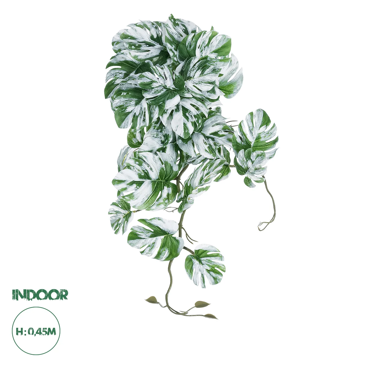 Φωτογραφία προϊόντος: GloboStar® Artificial Garden ALBINO MONSTERA HANGING PLANT 20606 - Τεχνητό Διακοσμητικό Κρεμαστό Φυτό Μονστέρα Υ45cm
