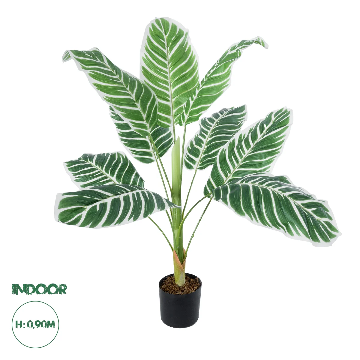 Φωτογραφία προϊόντος: GloboStar® Artificial Garden WHITE ZEBRA PLANT 20943 Τεχνητό Διακοσμητικό Φυτό Λευκή Ζέβρα Φ90 x Υ90cm