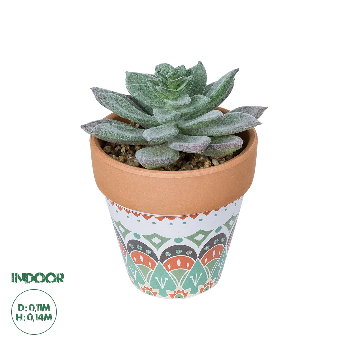 Φωτογραφία προϊόντος: GloboStar® Artificial Garden SUCCULENT SEDEVERIA POTTED PLANT 21041 Διακοσμητικό Φυτό Σεδεβέρια Φ11x Υ14cm