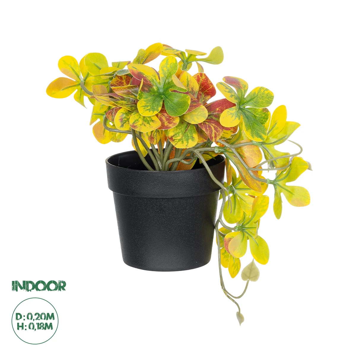 Φωτογραφία προϊόντος: GloboStar® Artificial Garden SCHEFFLERA MIX PLANT 20956 Διακοσμητικό Φυτό Σεφλέρα Φ20 x Υ18cm
