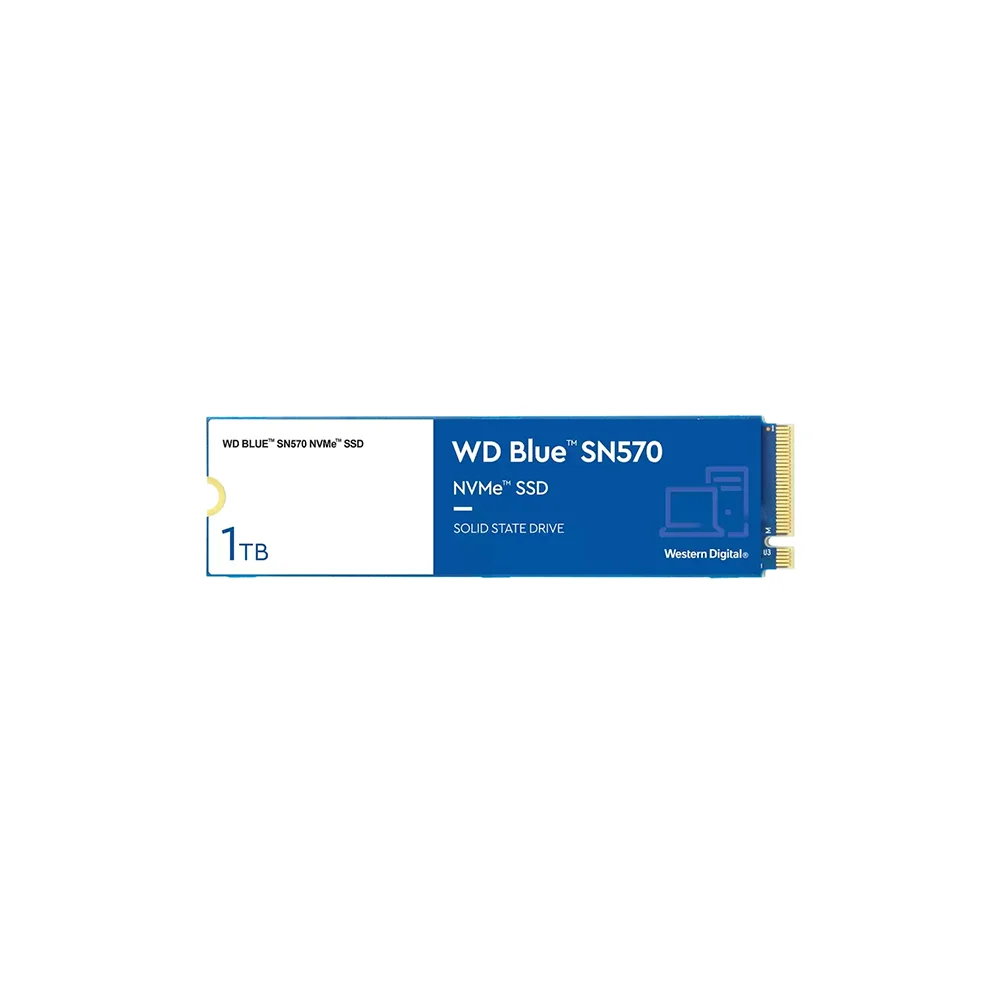 Φωτογραφία προϊόντος: 1S1WDC-WDS100T3B0C