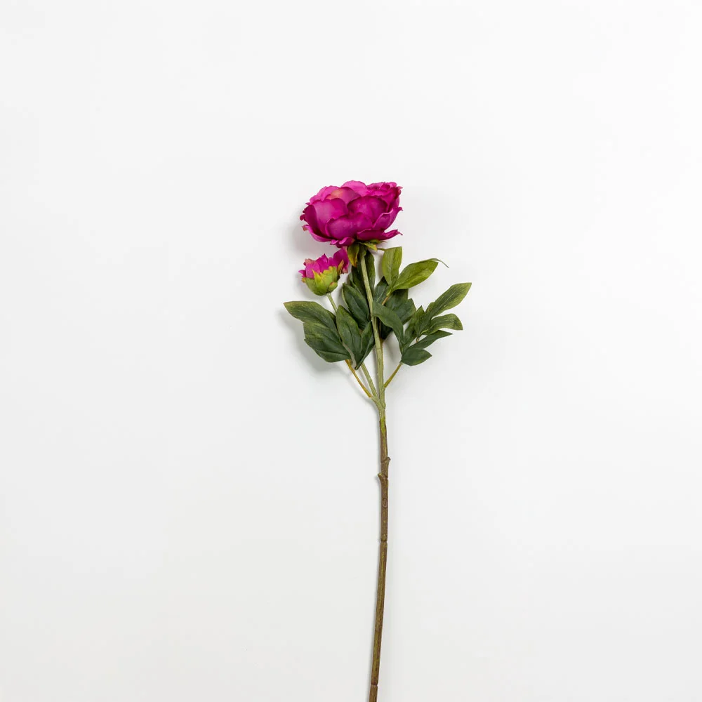 Φωτογραφία προϊόντος: KATE PEONY ΛΟΥΛΟΥΔΙ ΤΕΧΝΗΤΟ 67cm POLYESTER ΦΟΥΞΙΑ ΠΡΑΣΙΝΟ