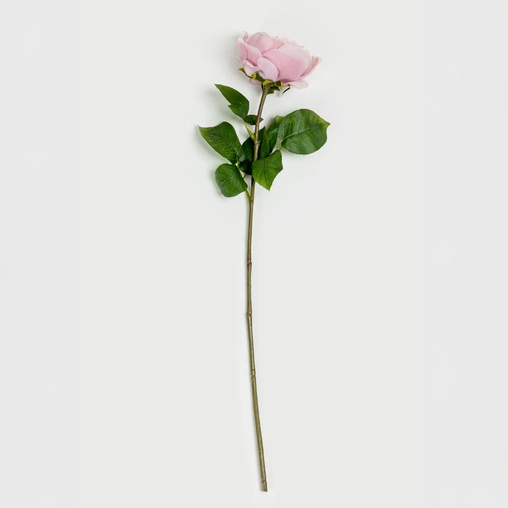 Φωτογραφία προϊόντος: BEAUTY ROSE ΛΟΥΛΟΥΔΙ ΤΕΧΝΗΤΟ 67cm POLYESTER ΡΟΖ ΠΡΑΣΙΝΟ